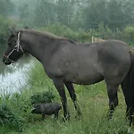 Lantgård Wodne Ogrody Dobczyce