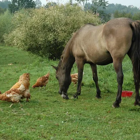 Wodne Ogrody Gospodarstwo agroturystyczne Dobczyce