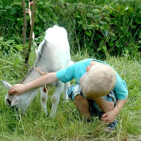 Gospodarstwo agroturystyczne Wodne Ogrody Dobczyce