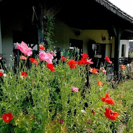 Wodne Ogrody Lantgård