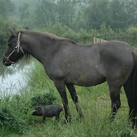 Farmház Wodne Ogrody Dobczyce