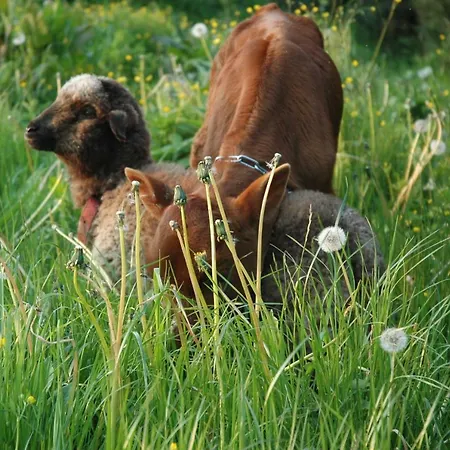 Wodne Ogrody Gospodarstwo agroturystyczne Dobczyce