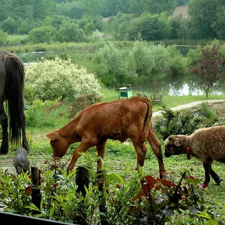 Gospodarstwo agroturystyczne Wodne Ogrody