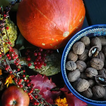 Lantgård Wodne Ogrody