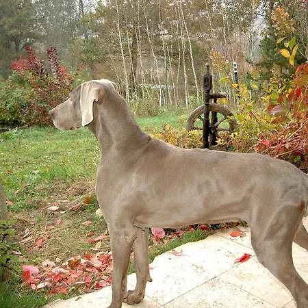 Wodne Ogrody Lantgård Dobczyce