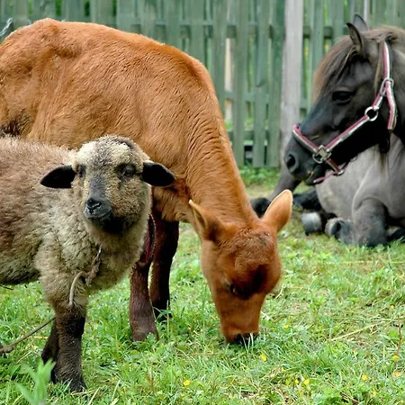 Wodne Ogrody Farmház