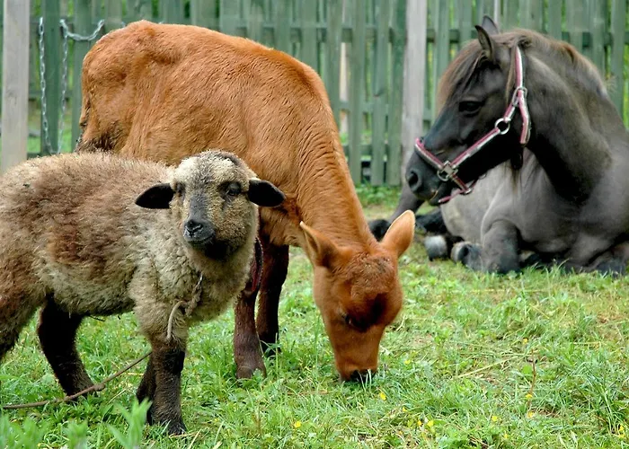 Wodne Ogrody Vakantieboerderij